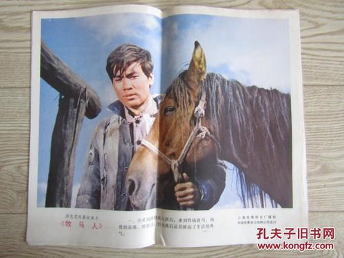 威斯康星大学马拉忪县分校Diploma in Marketing